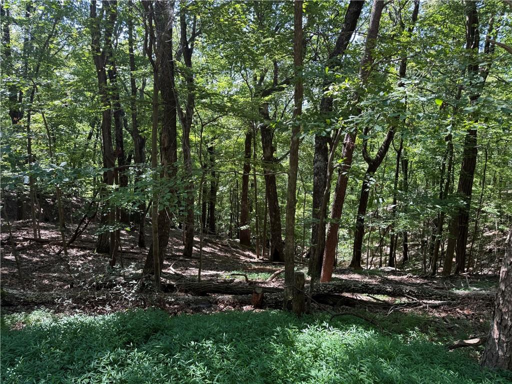 0 Moss Patch Trail Property Photo 4