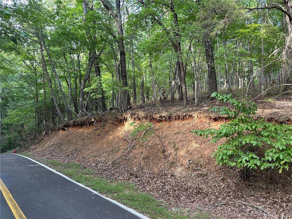 Lt1321 Coachwhip Trail Property Photo 4