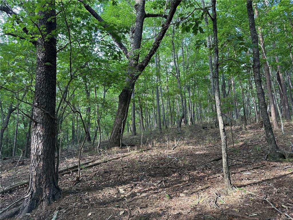 Lt1321 Coachwhip Trail Property Photo 5