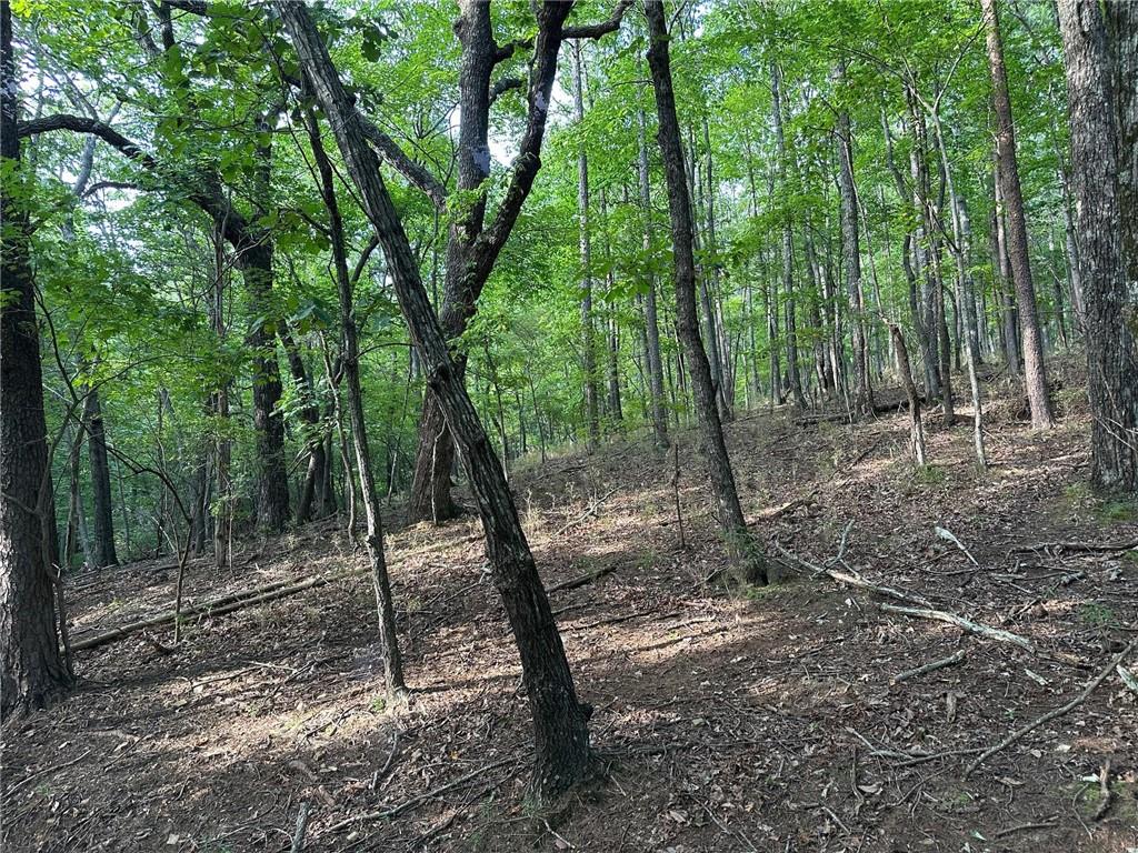 Lt1321 Coachwhip Trail Property Photo 6