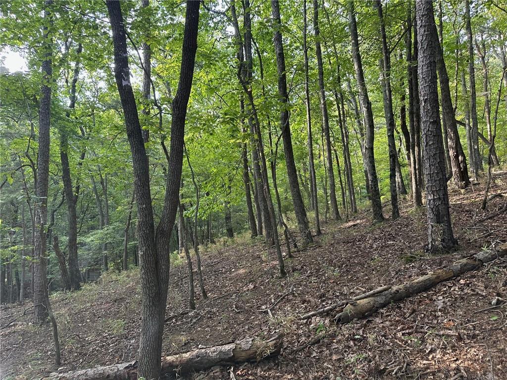 Lt1321 Coachwhip Trail Property Photo 7