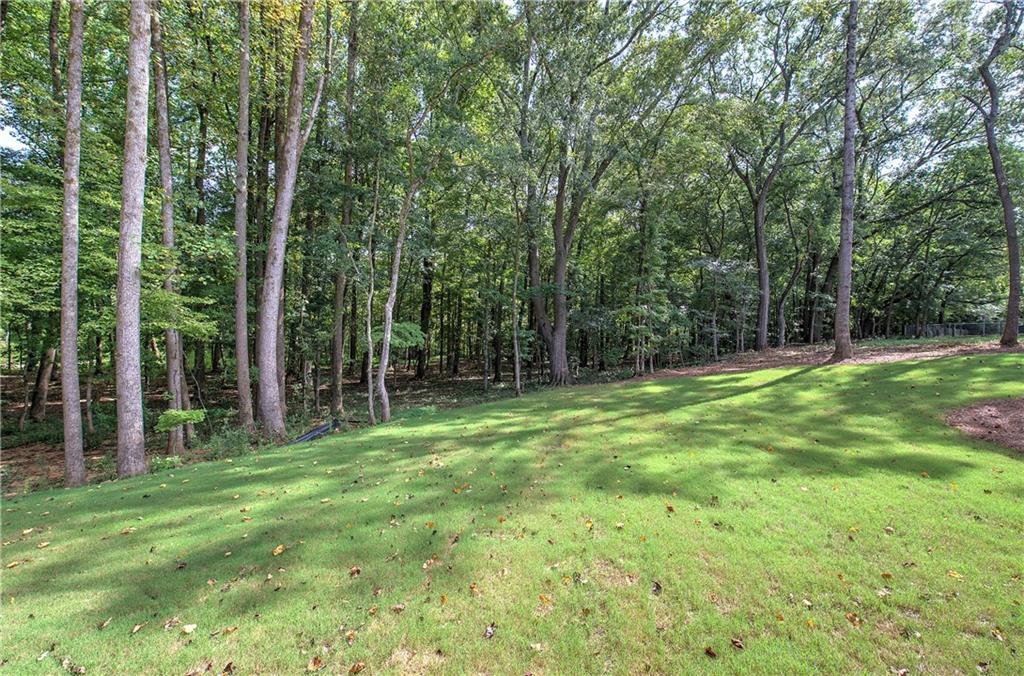 10 Dove Pointe Property Photo 52