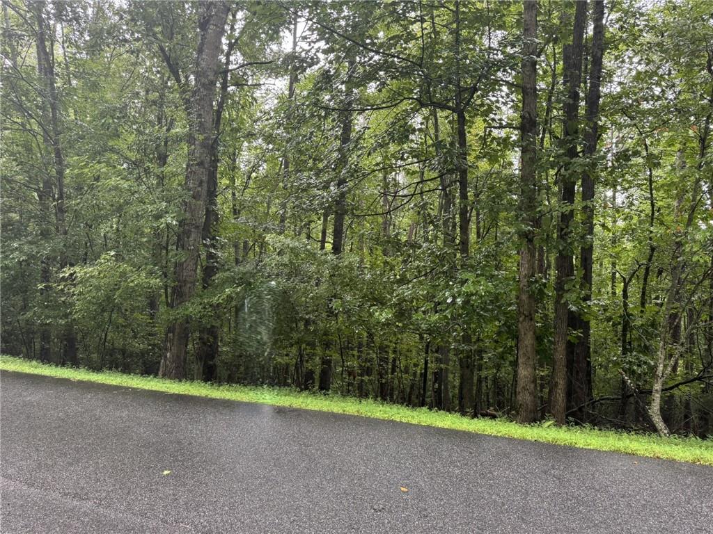 0 Enchanted Woods Drive Property Photo 1