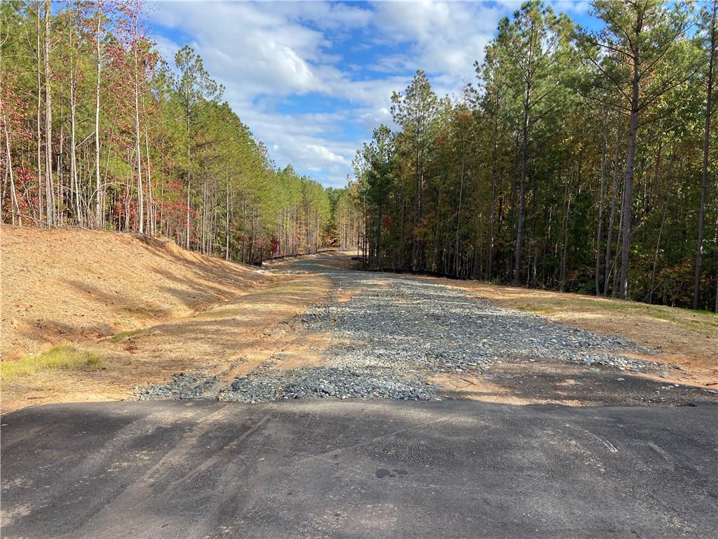 #3 Lone Bear Path Path Property Photo 2