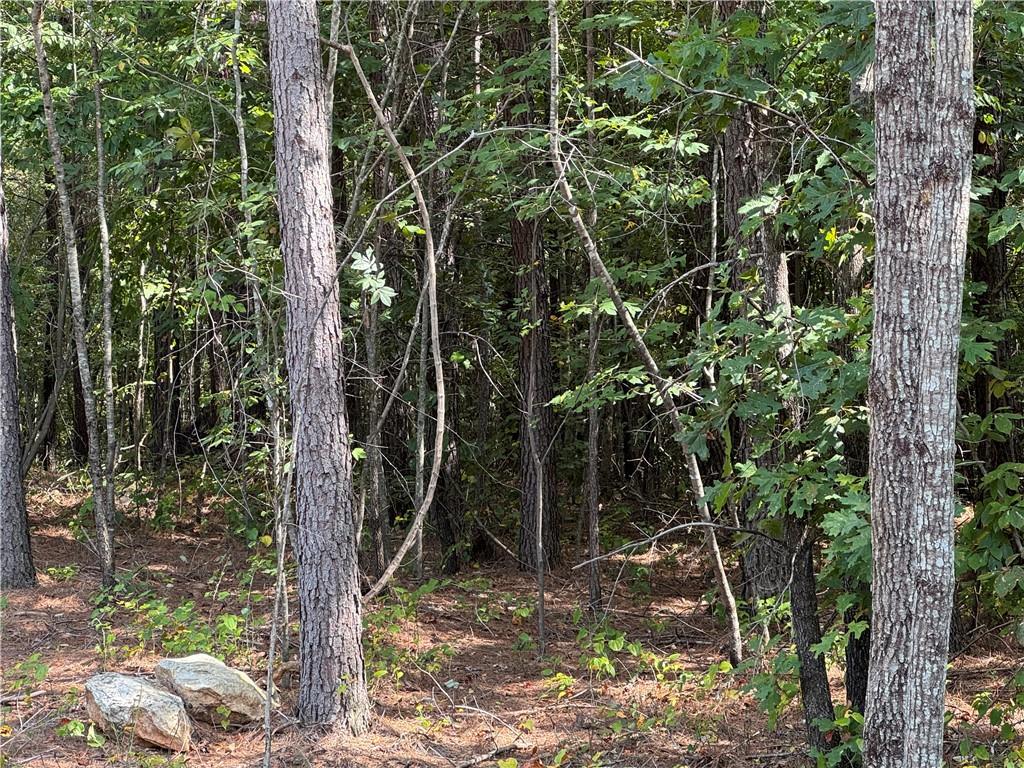 #3 Lone Bear Path Path Property Photo 3