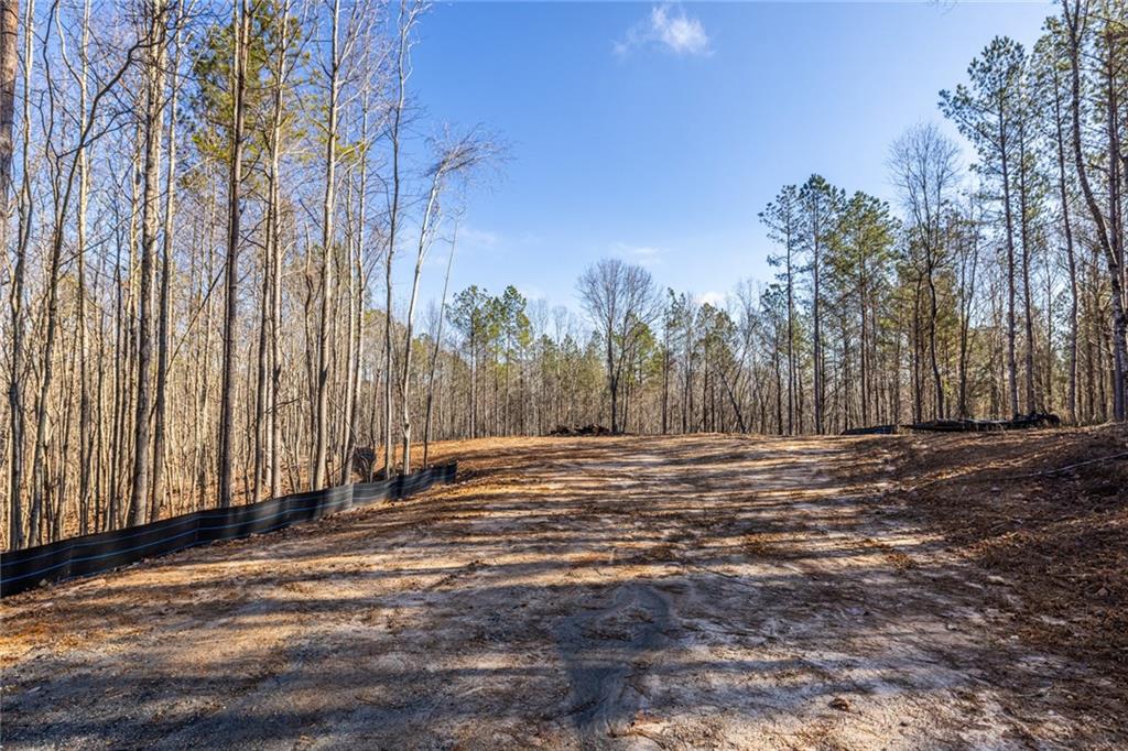 #3 Lone Bear Path Path Property Photo 4