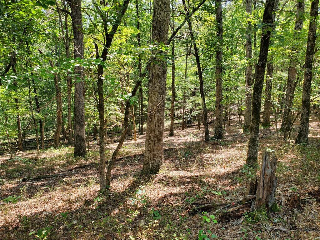 0 Asbury Mill Road Property Photo 1