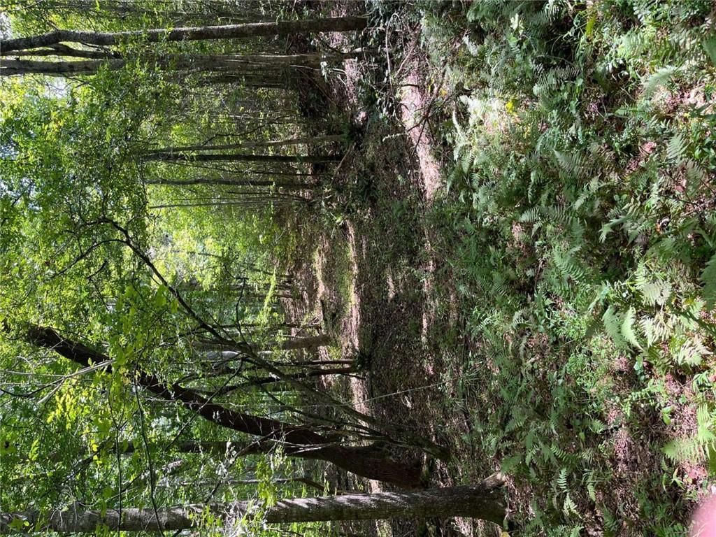 0 Ga Highway 120 Property Photo 1