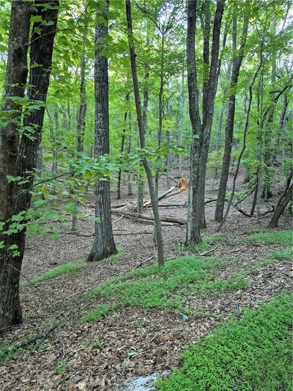 263 Wake Robin Property Photo 1