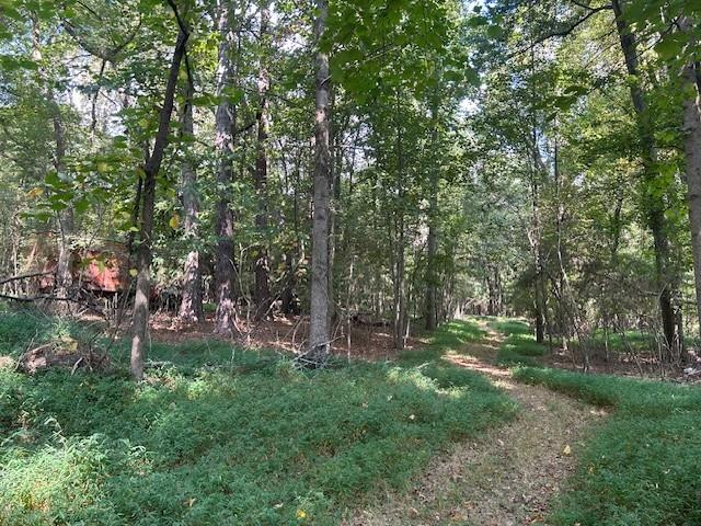 4349 Abbotts Bridge Road Property Photo 27