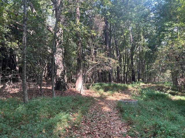 4349 Abbotts Bridge Road Property Photo 28