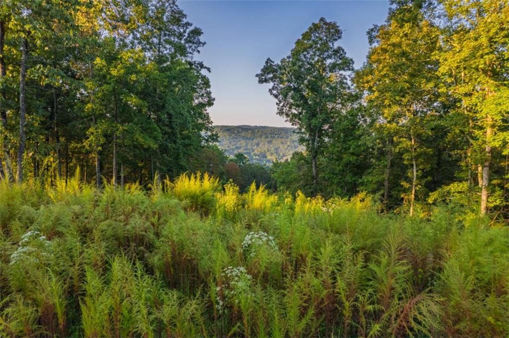 Lt 290 Anglers Ridge Road Property Photo 1