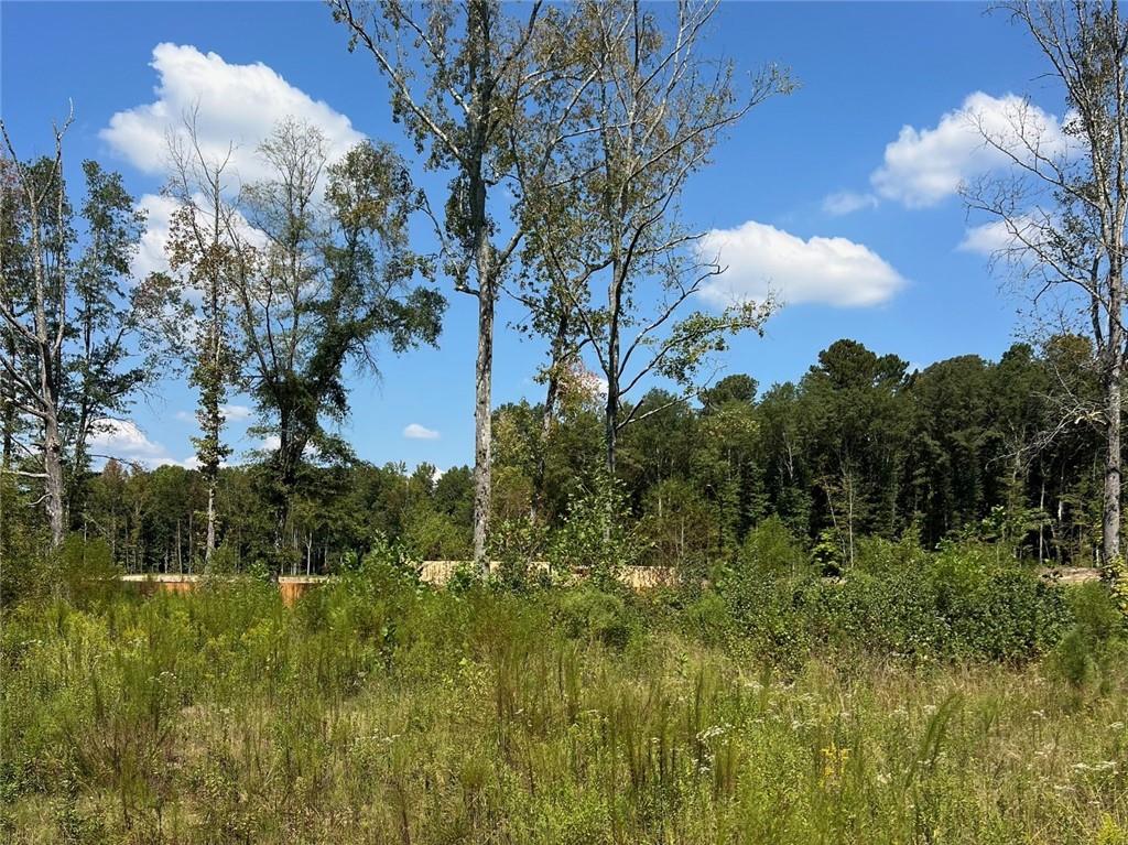 2960 Macland Road Property Photo 1