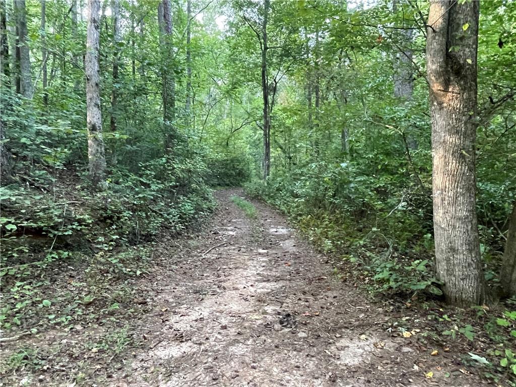 201 Black Bear Trace