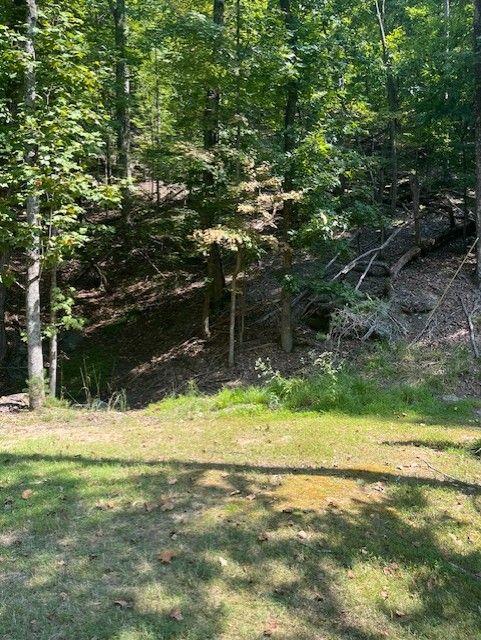 182 Morse Elm Loop Property Photo 12