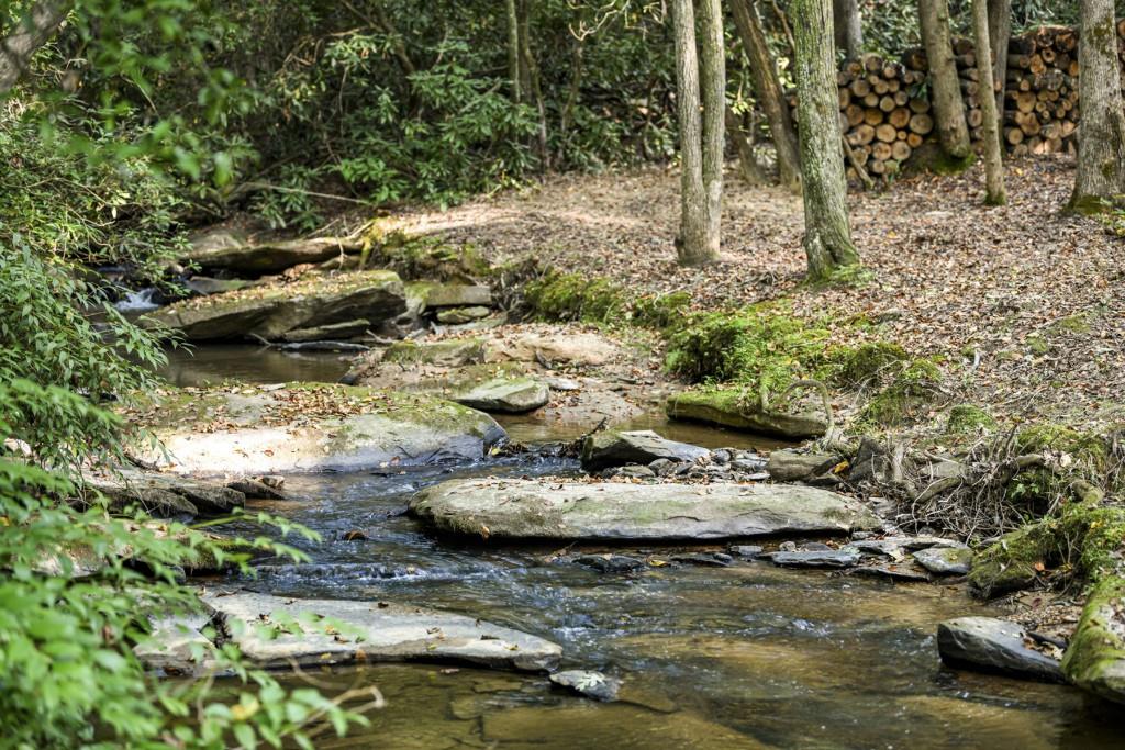 0 Evergreen Lane Property Photo 1