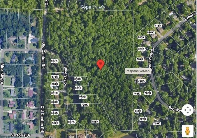 180 Blue Sky Drive Property Photo 1