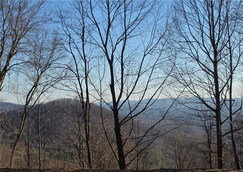 0 Big Creek Road Property Photo 1