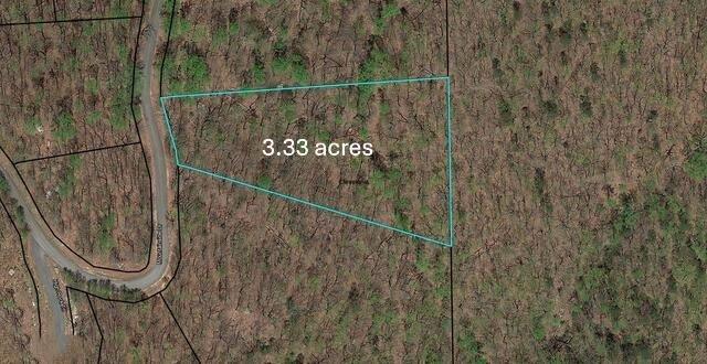 0 Mountainside Drive Property Photo 1
