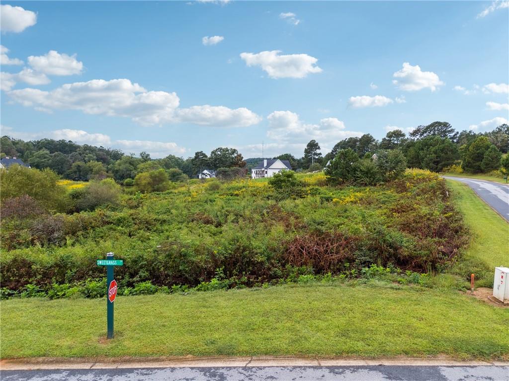 0 Sweetgrass Drive Property Photo 1