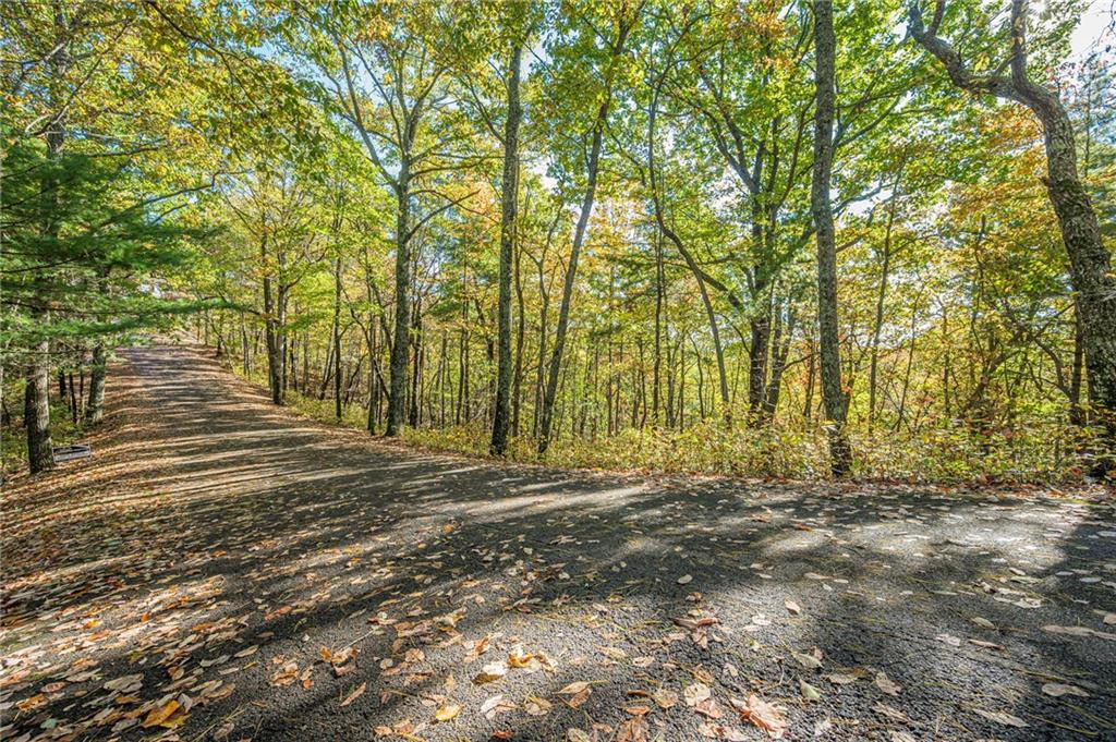 Lot 19 Oceola Drive Property Photo 1