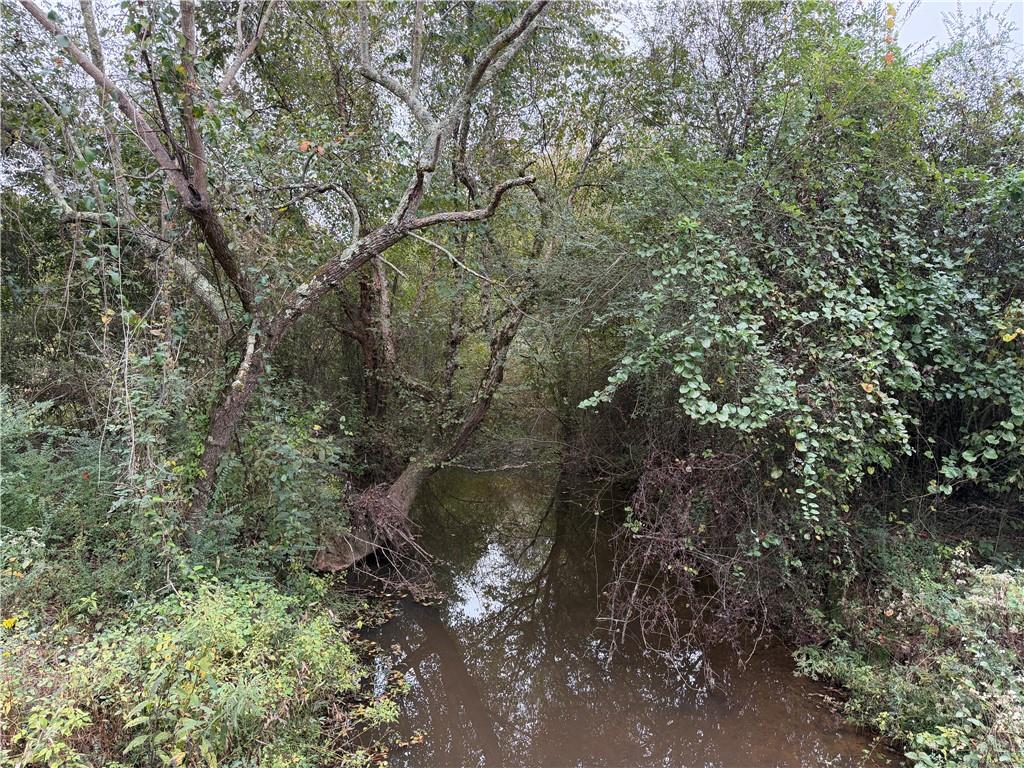 0 County Road 60 Property Photo 2
