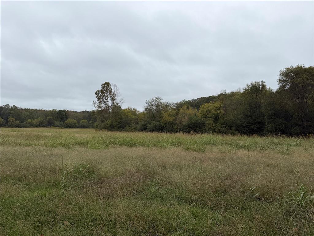 0 County Road 60 Property Photo 10