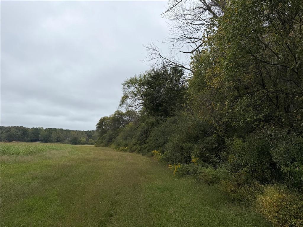 0 County Road 60 Property Photo 11