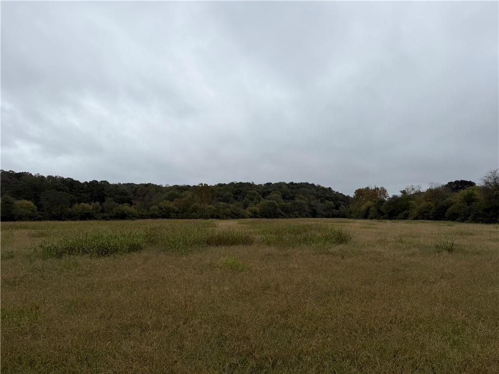 0 County Road 60 Property Photo 12