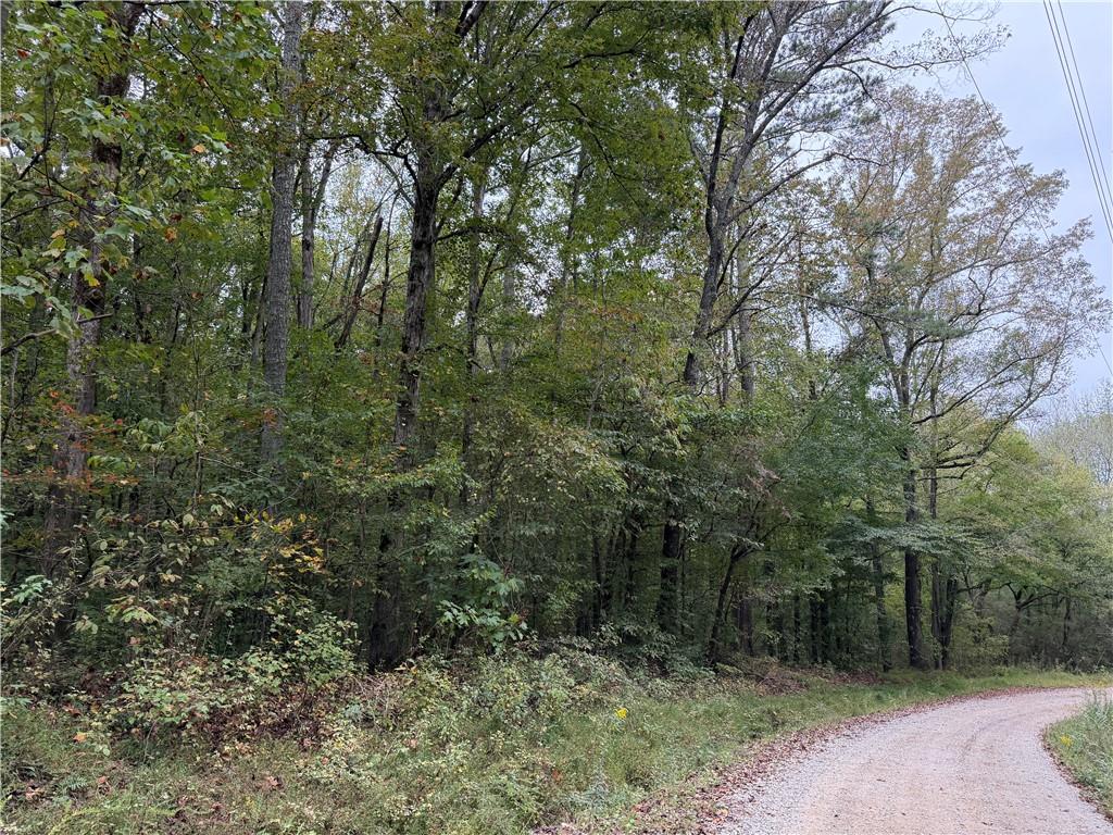 0 County Road 60 Property Photo 15