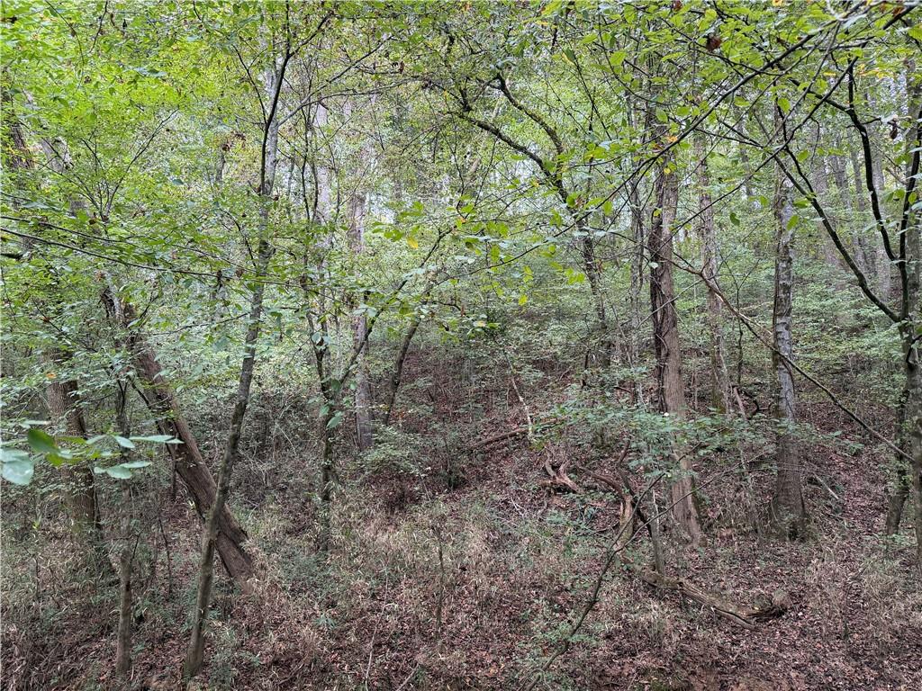 0 County Road 60 Property Photo 17