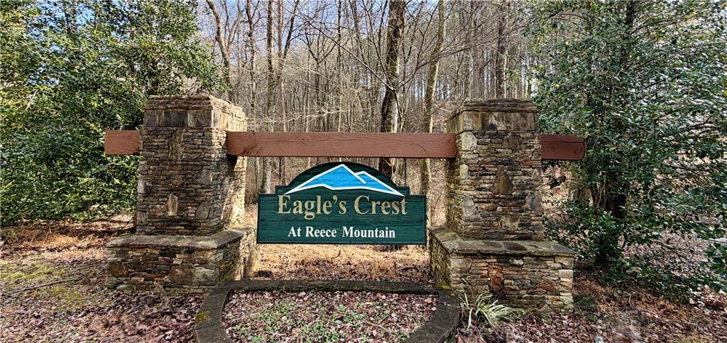 0 Reece Mountain Road Property Photo 1
