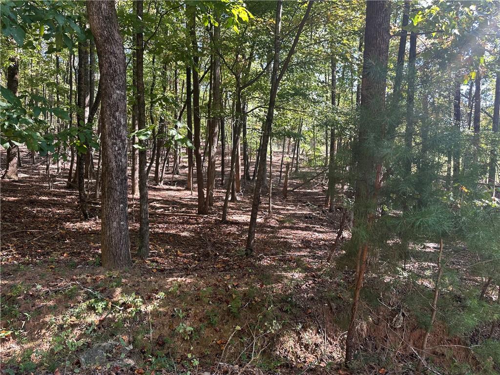 Lt1351 Willow Terrace Property Photo 2