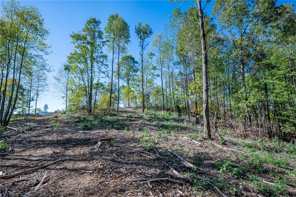 3887 Hwy 140 Ne Property Photo 5