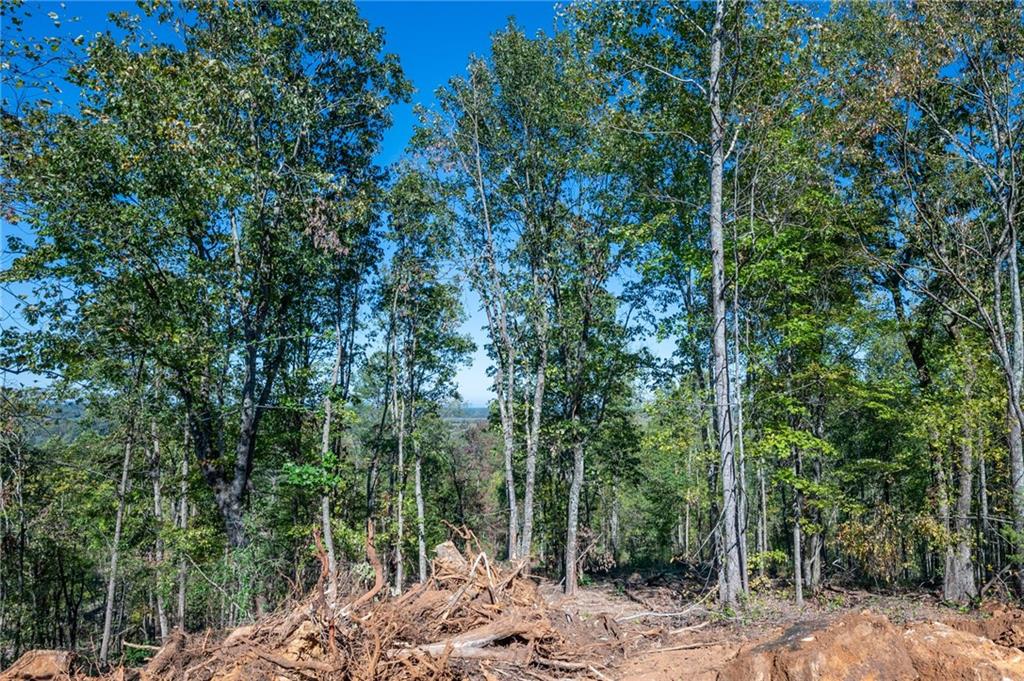 3887 Hwy 140 Ne Property Photo 6