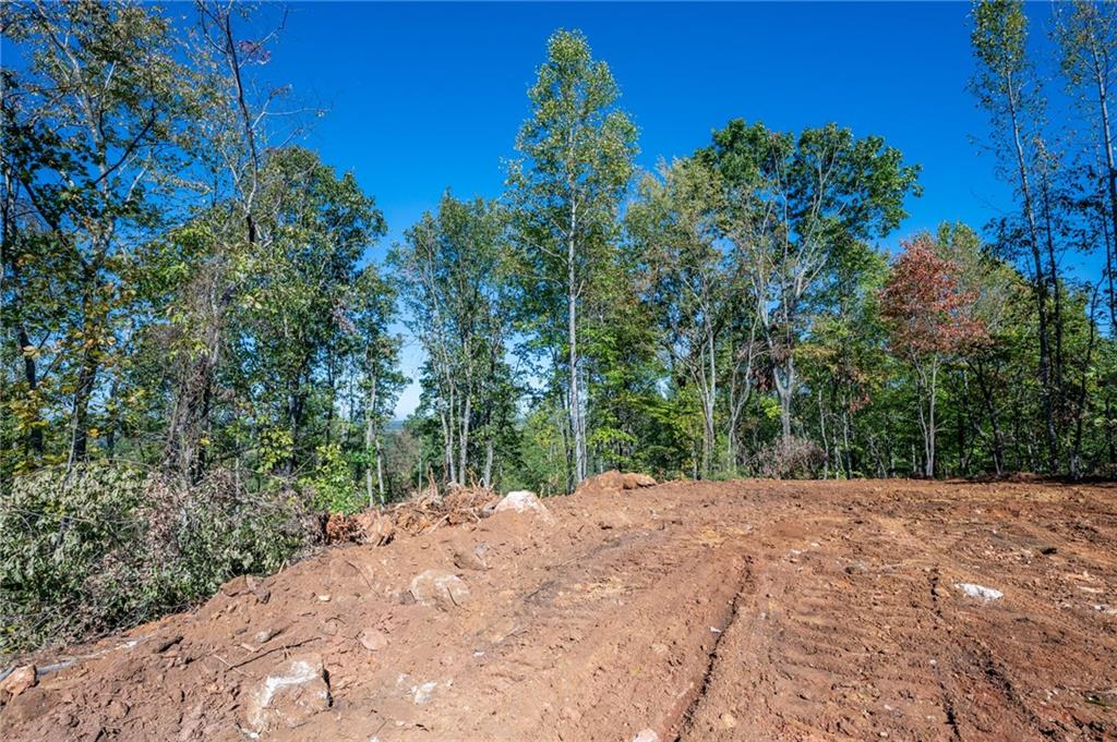 3887 Hwy 140 Ne Property Photo 7