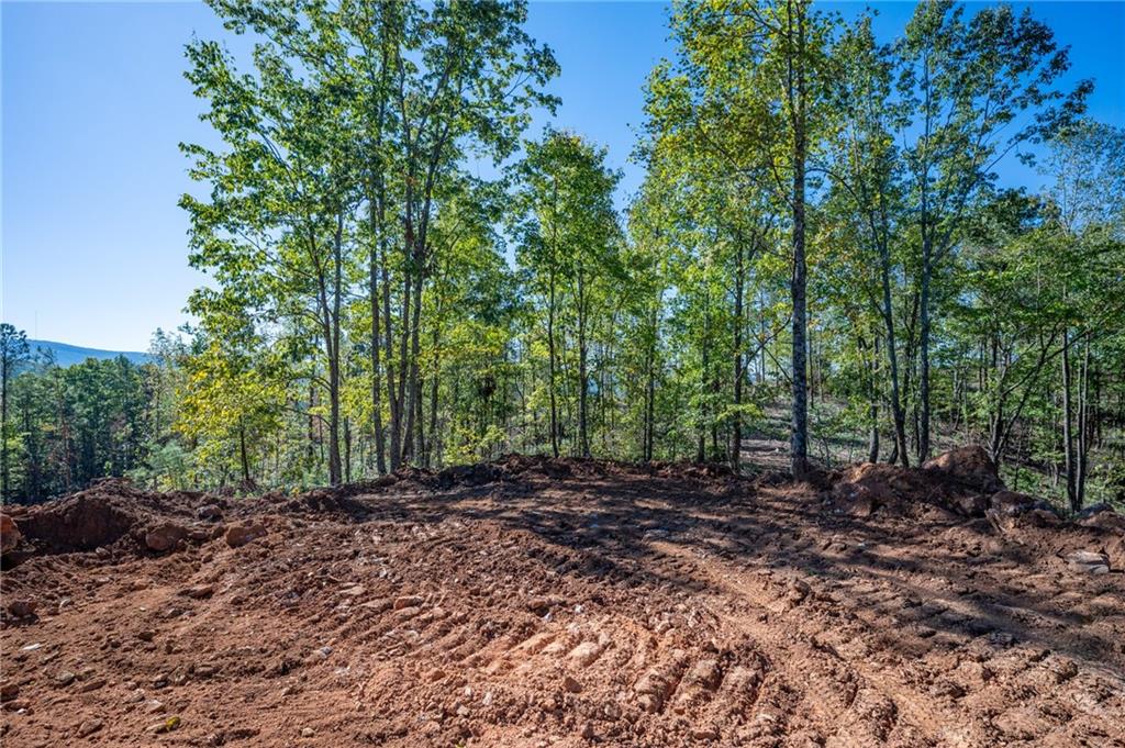 3887 Hwy 140 Ne Property Photo 8