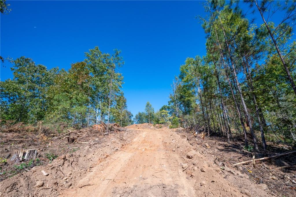 3887 Hwy 140 Ne Property Photo 11