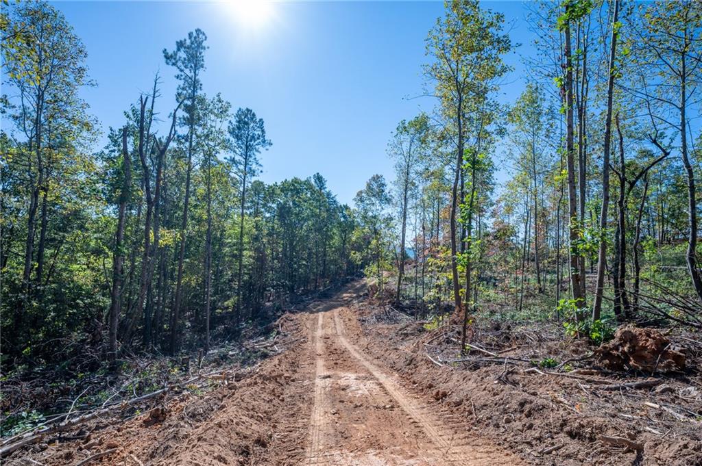 3887 Hwy 140 Ne Property Photo 12