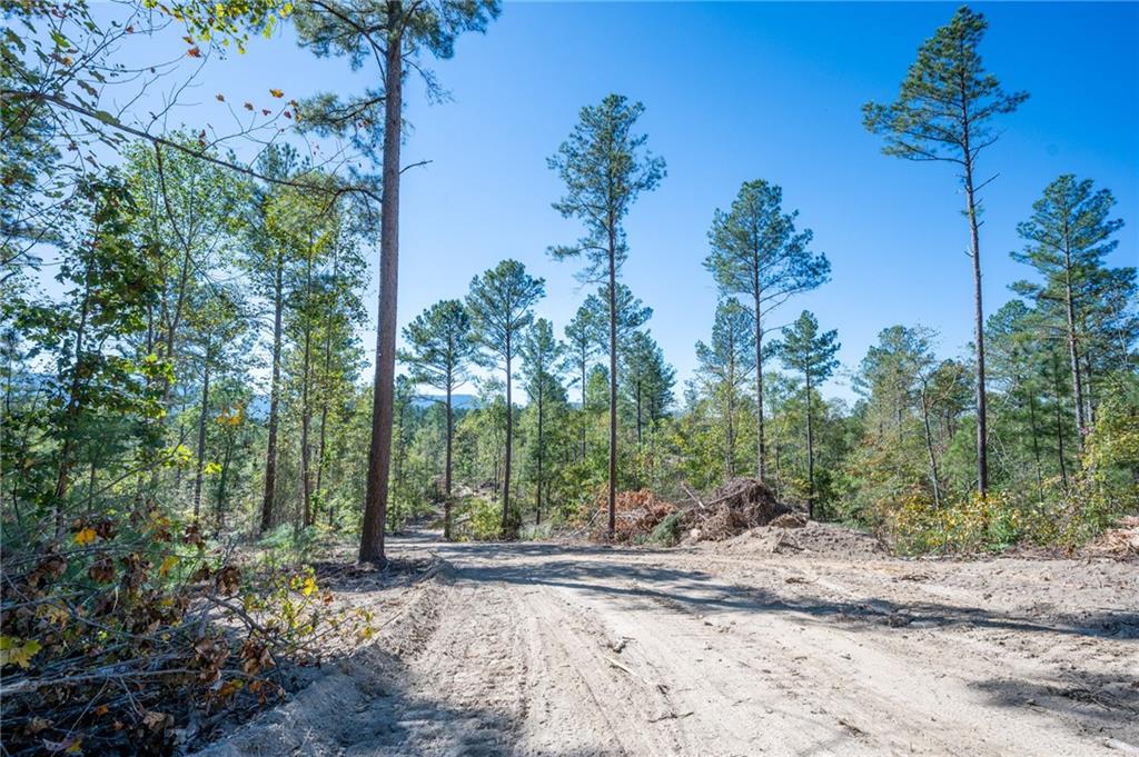 3887 Hwy 140 Ne Property Photo 16