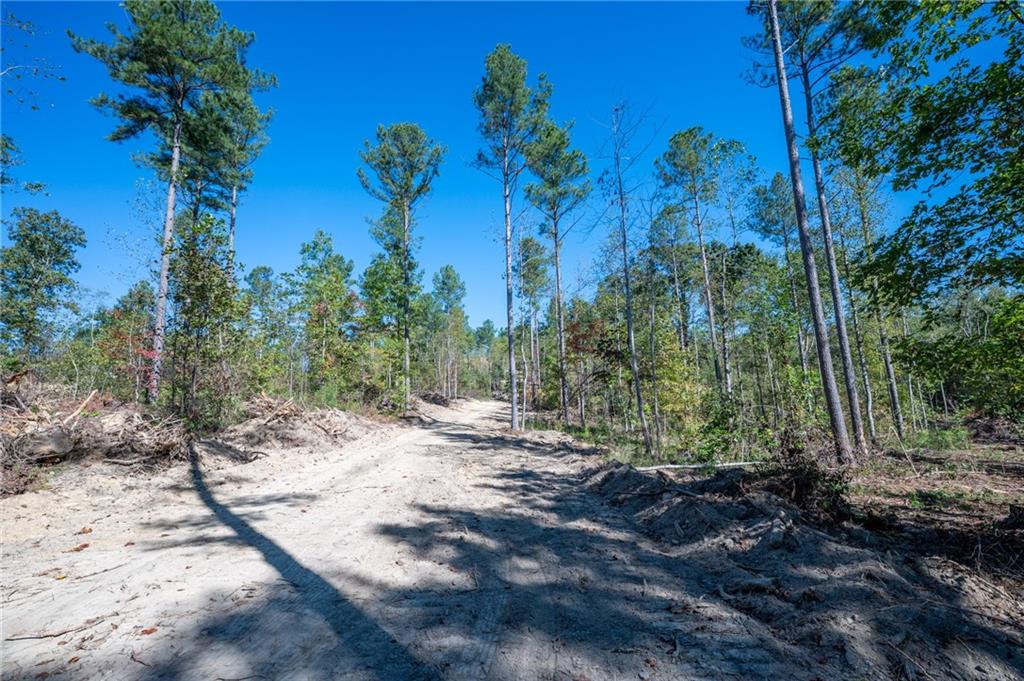 3887 Hwy 140 Ne Property Photo 17