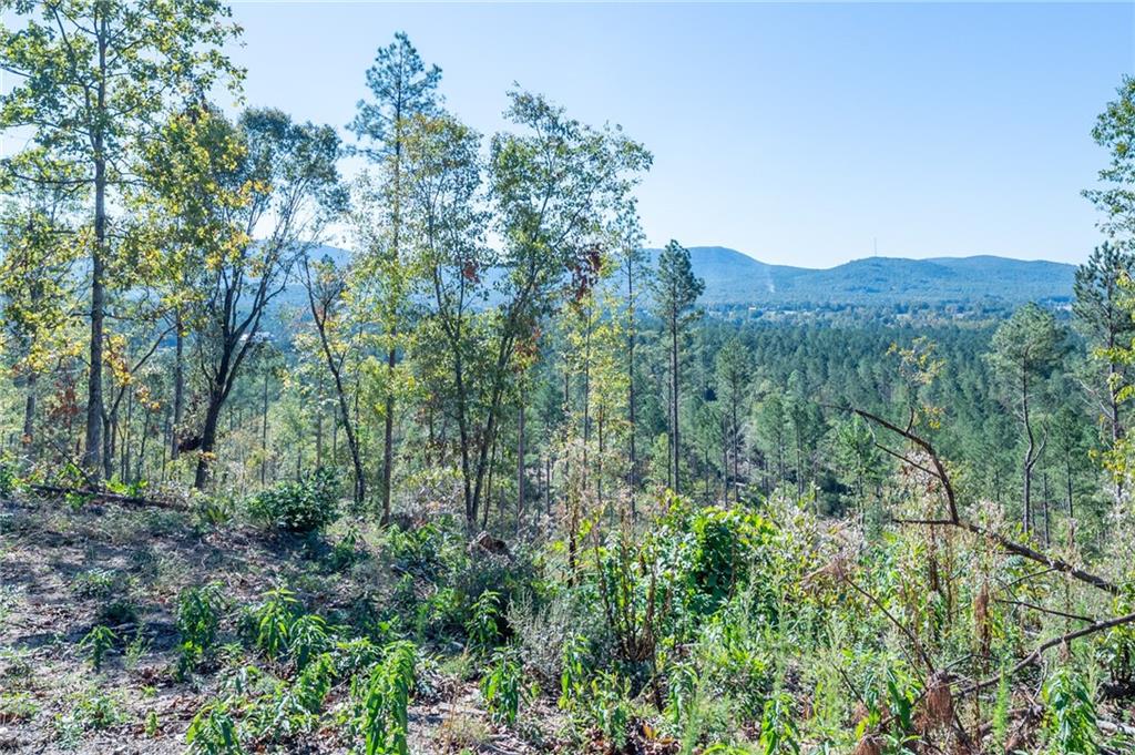 3879 HWY 140 NE Property Photo 1
