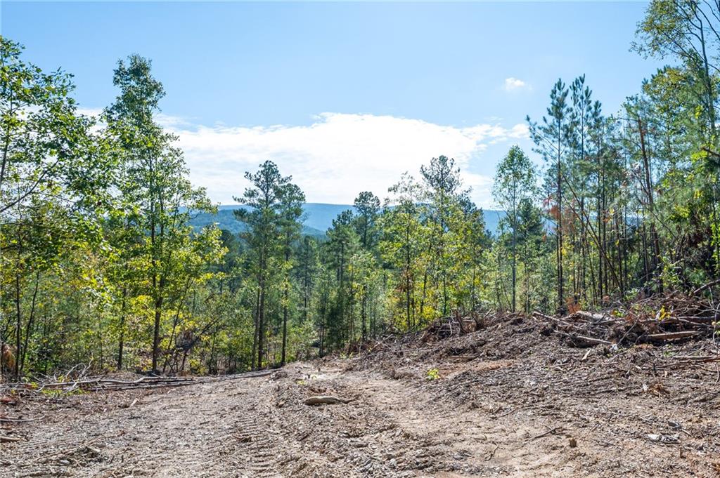 3793 Hwy 140 Ne Property Photo 1