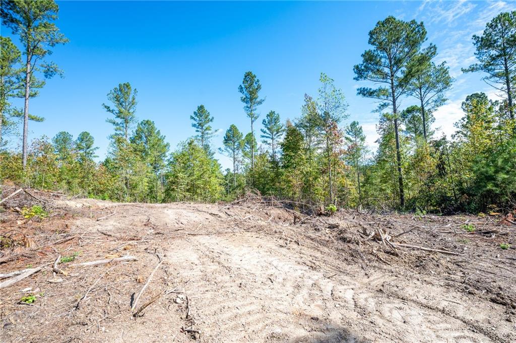3805 Hwy 140 Ne Property Photo 1