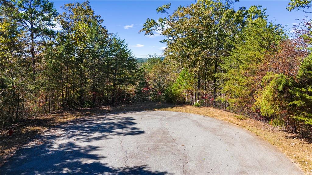 1047 Nugget Court Property Photo 1