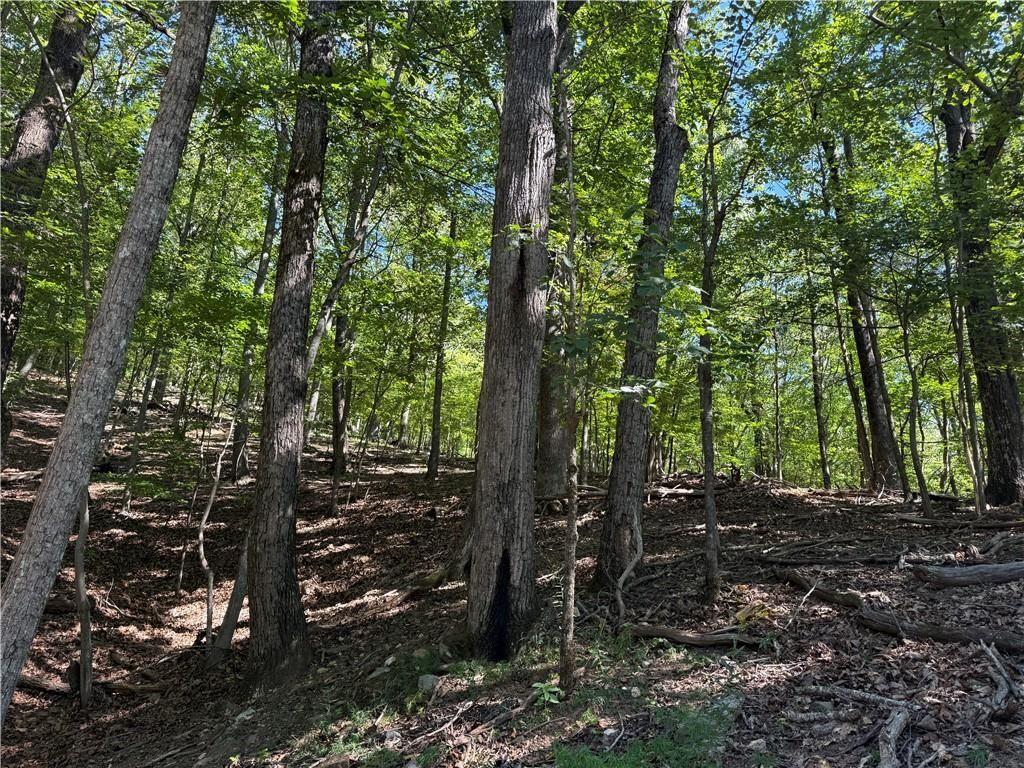 0 Moss Patch Trail Property Photo 3