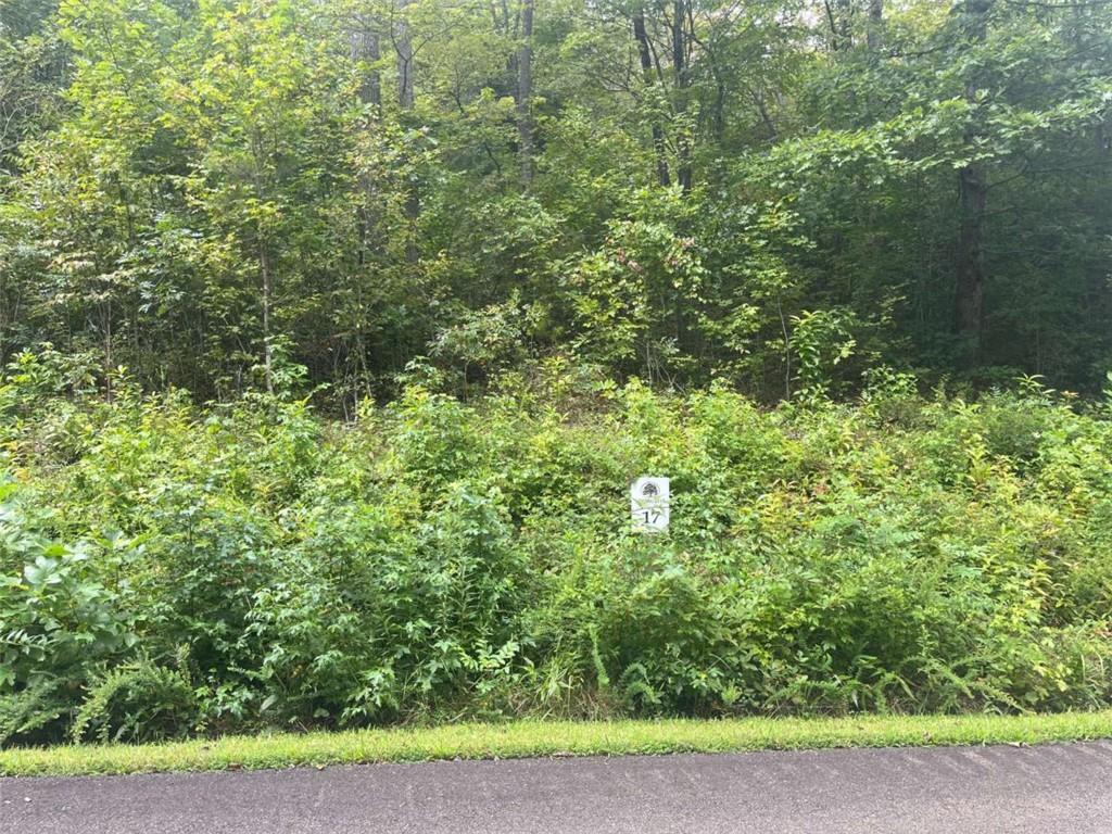 Lot 17 Staurolite Mountain Drive Property Photo 1