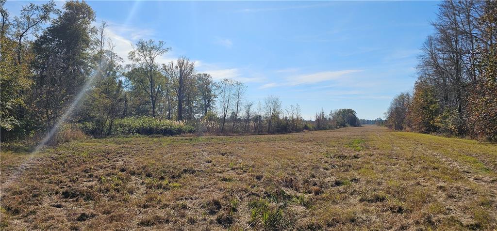 0 Old Eighty Five Road Property Photo 2