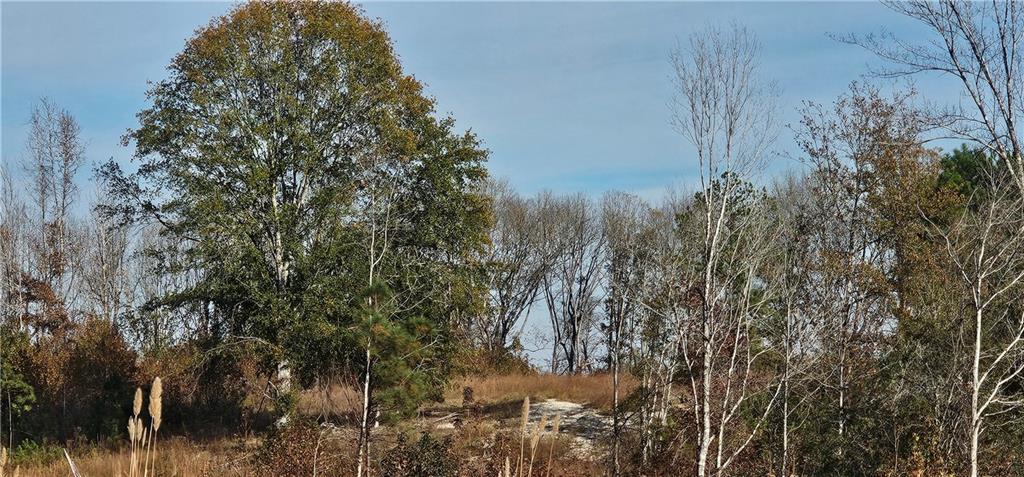 0 Old Eighty Five Road Property Photo 10