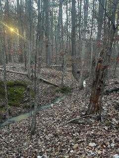 00 River Ridge Trail Property Photo 1